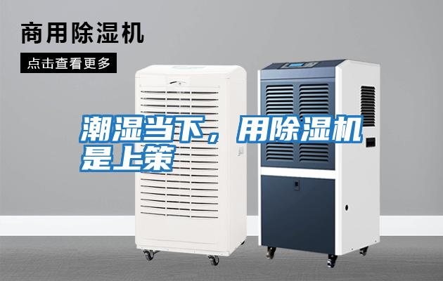潮濕當下，用除濕機是上策