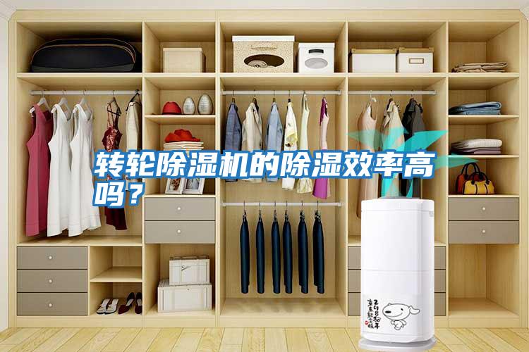 轉(zhuǎn)輪除濕機(jī)的除濕效率高嗎？