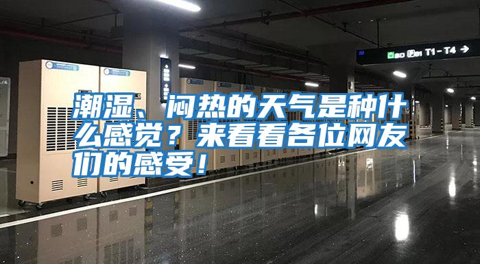 潮濕、悶熱的天氣是種什么感覺？來看看各位網友們的感受！