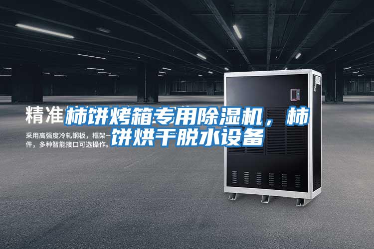 柿餅烤箱專用除濕機(jī)，柿餅烘干脫水設(shè)備