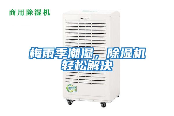 梅雨季潮濕，除濕機輕松解決