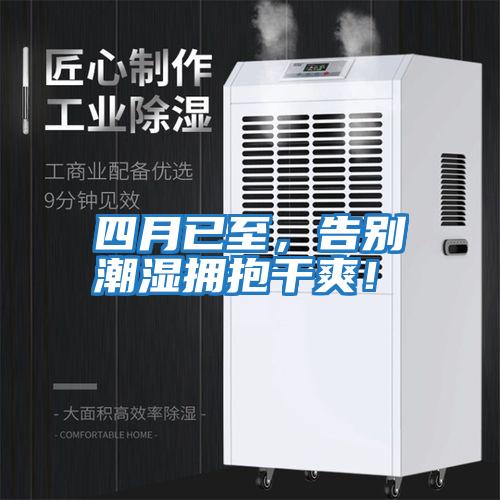 四月已至，告別潮濕擁抱干爽！