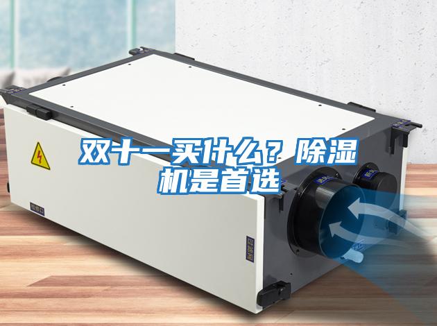 雙十一買什么？除濕機是首選