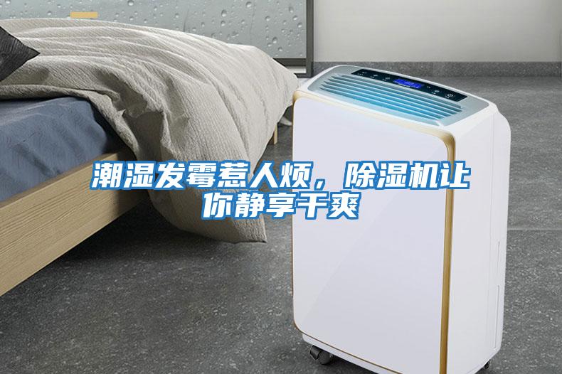 潮濕發霉惹人煩，除濕機讓你靜享干爽