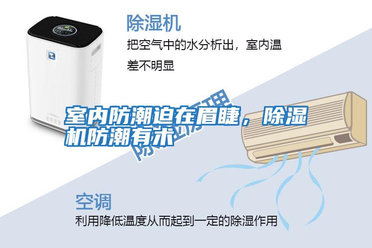 室內防潮迫在眉睫，除濕機防潮有術