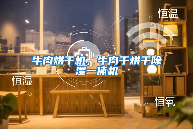 牛肉烘干機，牛肉干烘干除濕一體機