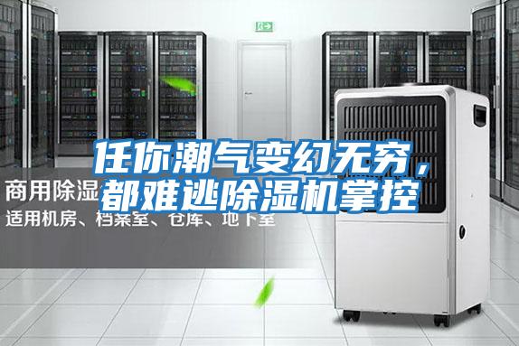 任你潮氣變幻無窮，都難逃除濕機掌控