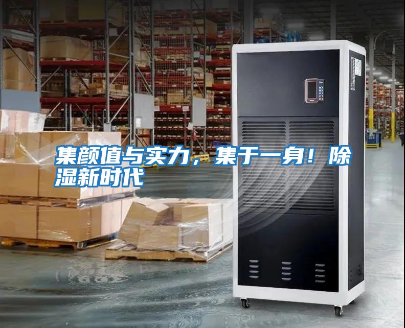 集顏值與實力，集于一身！除濕新時代