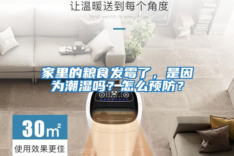 家里的糧食發(fā)霉了，是因為潮濕嗎？怎么預(yù)防？