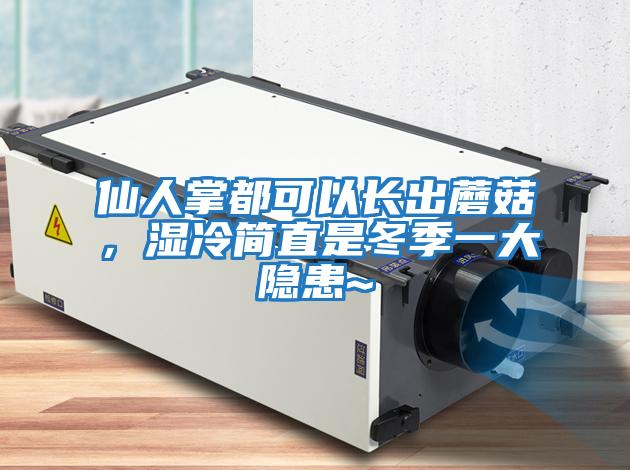 仙人掌都可以長出蘑菇，濕冷簡直是冬季一大隱患~