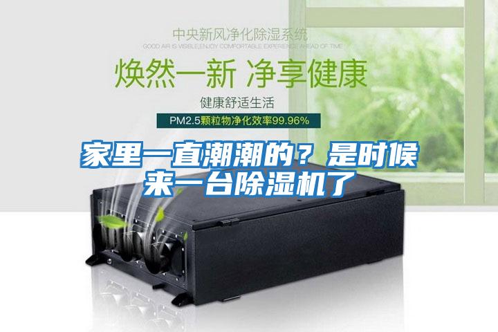 家里一直潮潮的？是時候來一臺除濕機了