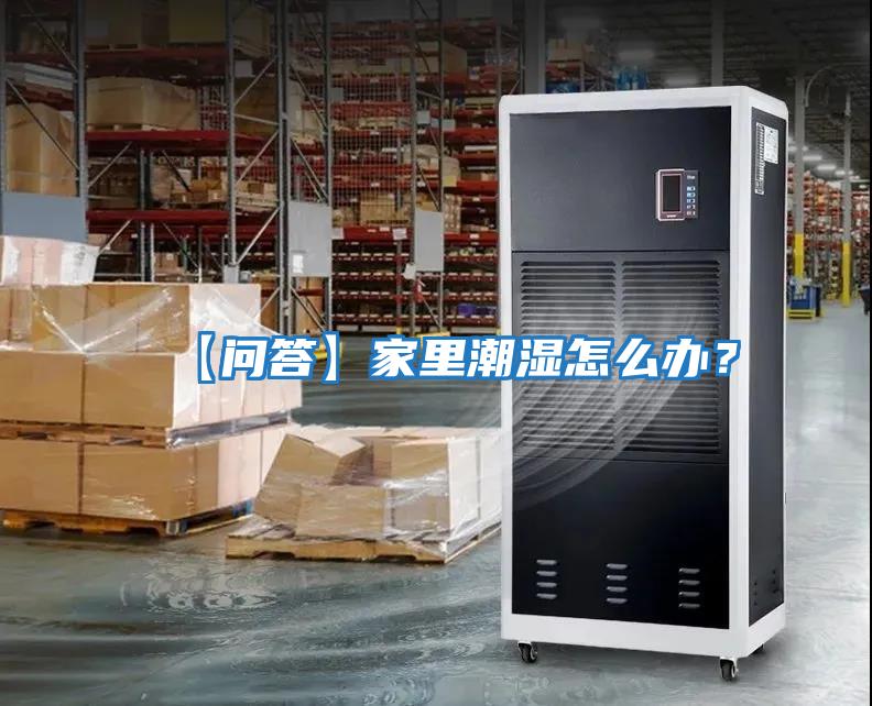 【問答】家里潮濕怎么辦？