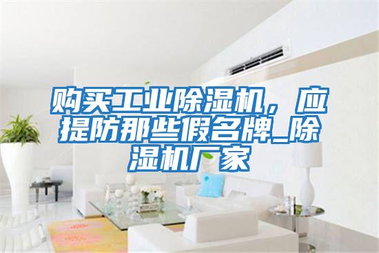 購買工業(yè)除濕機,應(yīng)提防那些假名牌_除濕機廠家