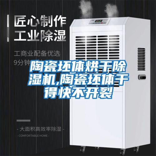 陶瓷坯體烘干除濕機,陶瓷坯體干得快不開裂