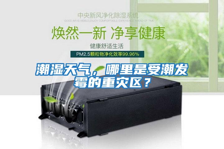 潮濕天氣，哪里是受潮發霉的重災區？