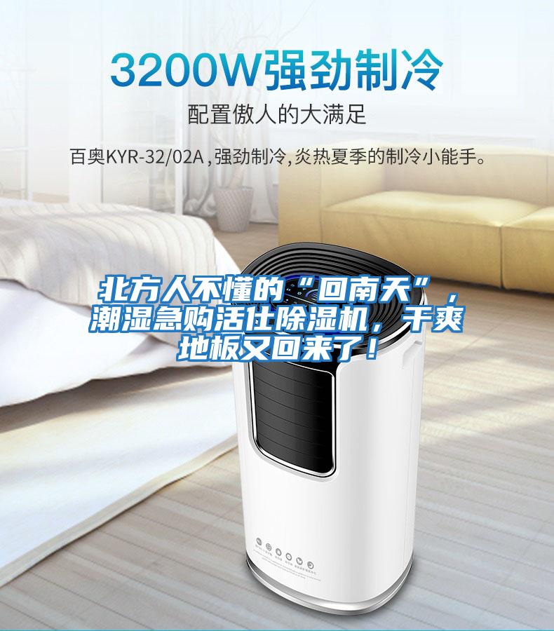 北方人不懂的“回南天”，潮濕急購活仕除濕機，干爽地板又回來了！
