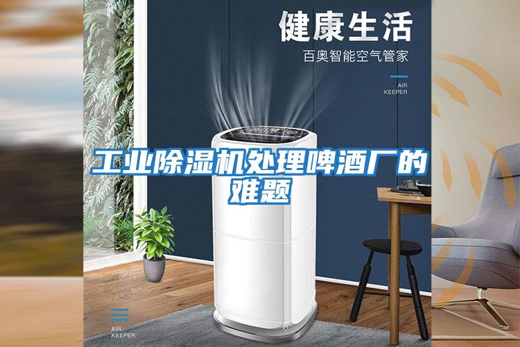 工業除濕機處理啤酒廠的難題