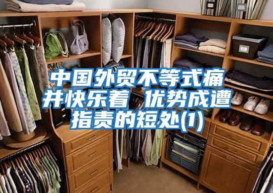 中國外貿不等式痛并快樂著 優勢成遭指責的短處(1)