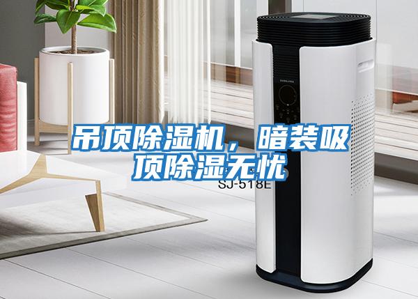 吊頂除濕機(jī)，暗裝吸頂除濕無(wú)憂(yōu)