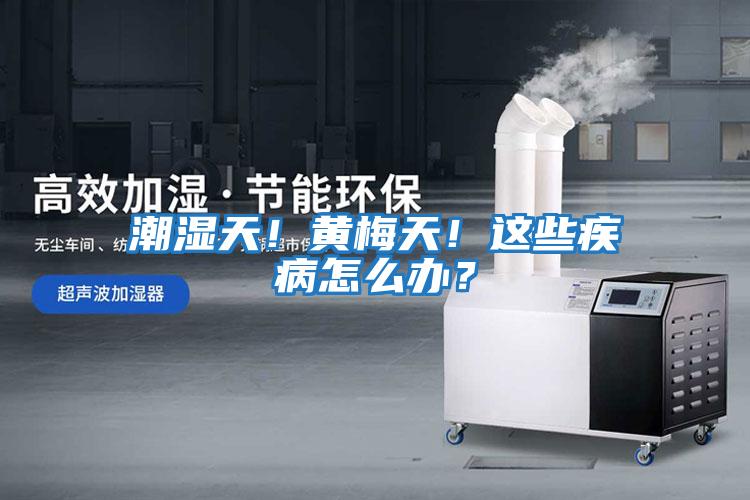潮濕天！黃梅天！這些疾病怎么辦？