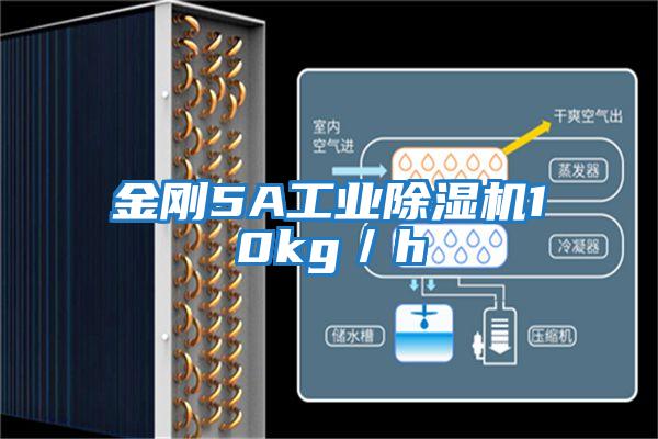 金剛5A工業(yè)除濕機(jī)10kg/h