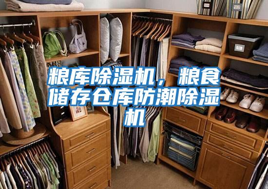 糧庫除濕機(jī)，糧食儲(chǔ)存?zhèn)}庫防潮除濕機(jī)