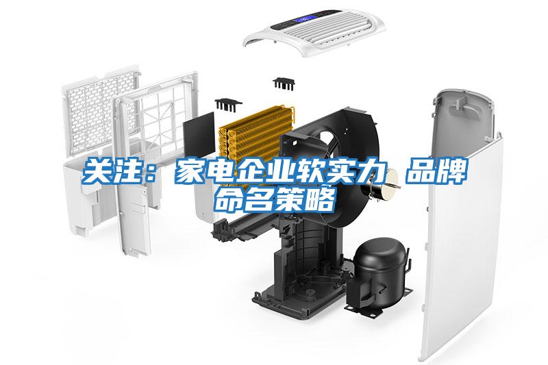 關注：家電企業軟實力 品牌命名策略