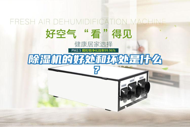 除濕機的好處和壞處是什么？