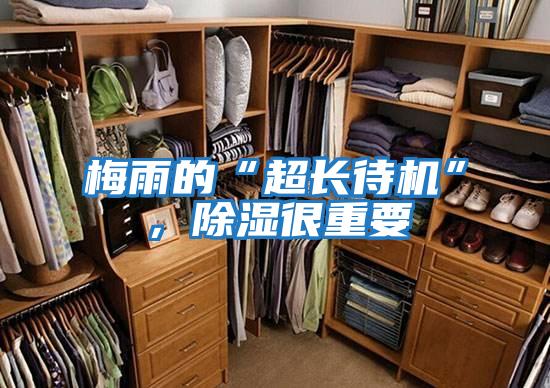 梅雨的“超長待機”，除濕很重要