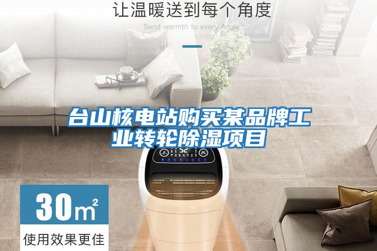 臺山核電站購買某品牌工業轉輪除濕項目