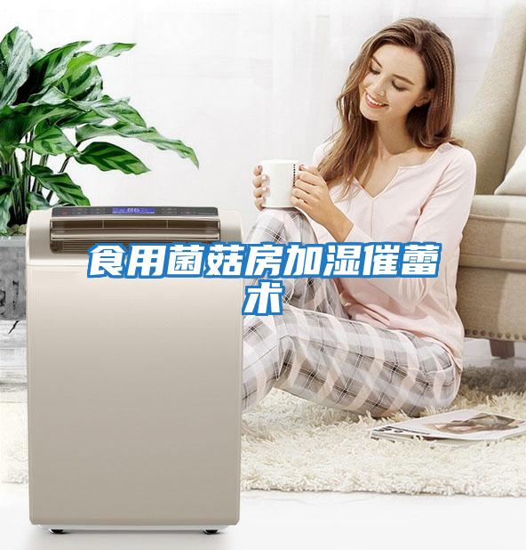 食用菌菇房加濕催蕾術