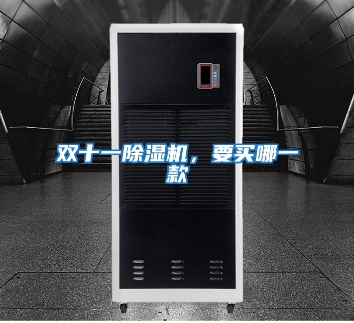 雙十一除濕機，要買哪一款