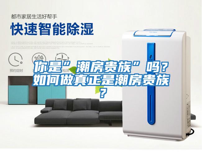 你是”潮房貴族”嗎？如何做真正是潮房貴族？