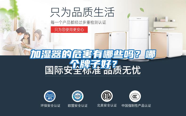 加濕器的危害有哪些嗎？哪個牌子好？
