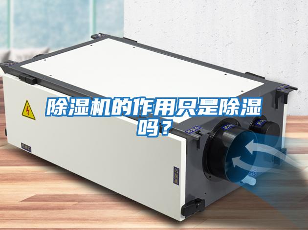 除濕機的作用只是除濕嗎？