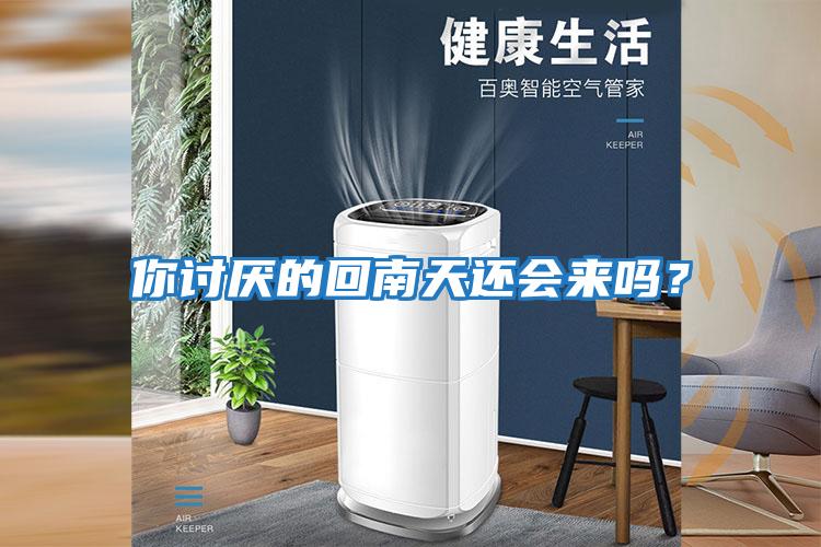 你討厭的回南天還會來嗎？