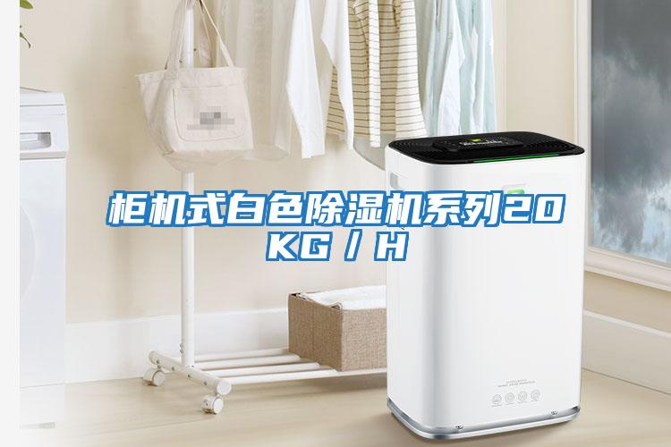 柜機式白色除濕機系列20KG/H