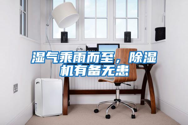 濕氣乘雨而至，除濕機有備無患