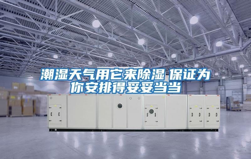 潮濕天氣用它來除濕　保證為你安排得妥妥當當