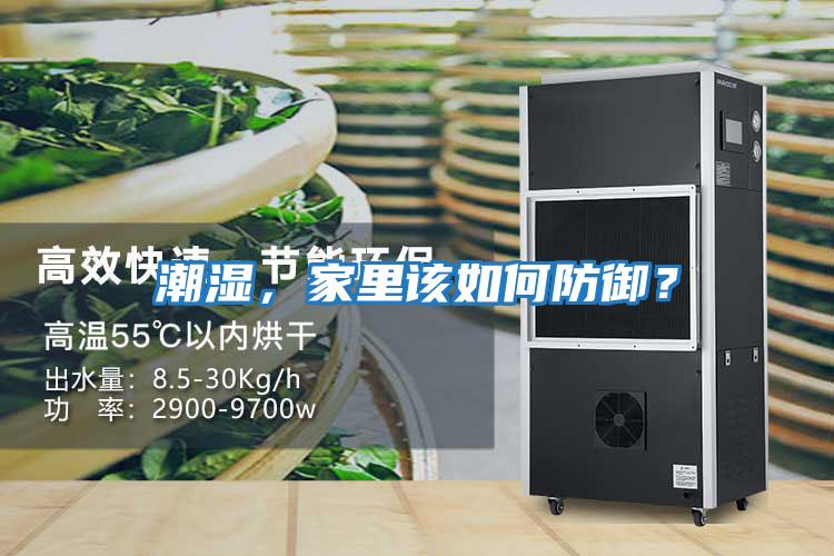 潮濕，家里該如何防御？