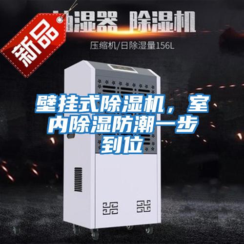 壁掛式除濕機，室內除濕防潮一步到位