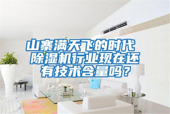 山寨滿(mǎn)天飛的時(shí)代 除濕機(jī)行業(yè)現(xiàn)在還有技術(shù)含量嗎？
