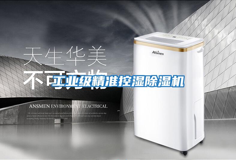 工業級精準控濕除濕機
