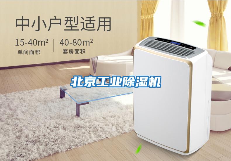 北京工業除濕機