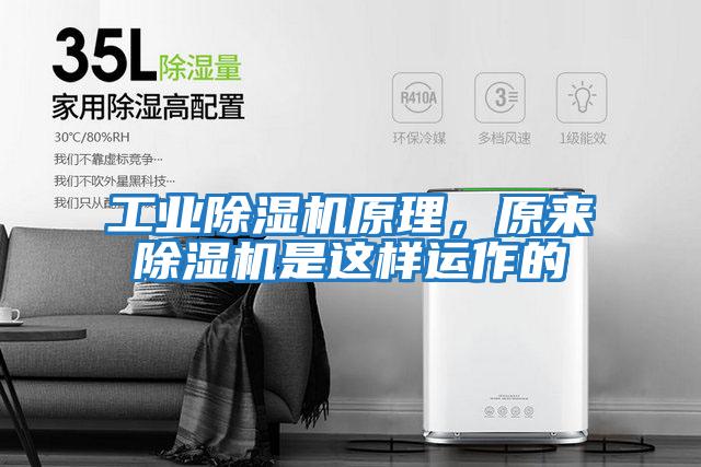 工業除濕機原理，原來除濕機是這樣運作的