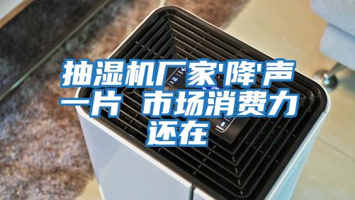抽濕機廠家'降'聲一片 市場消費力還在