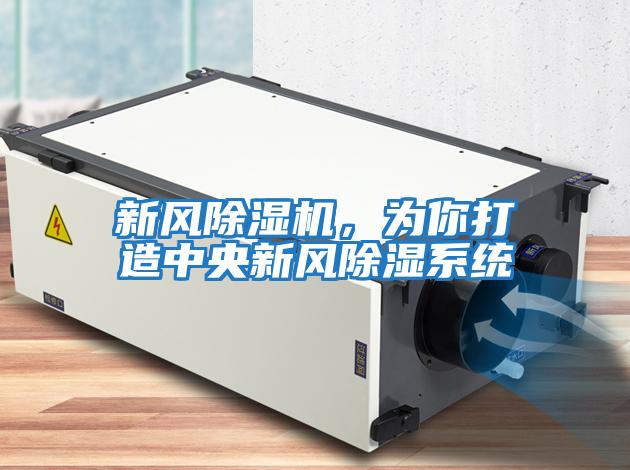 新風除濕機，為你打造中央新風除濕系統