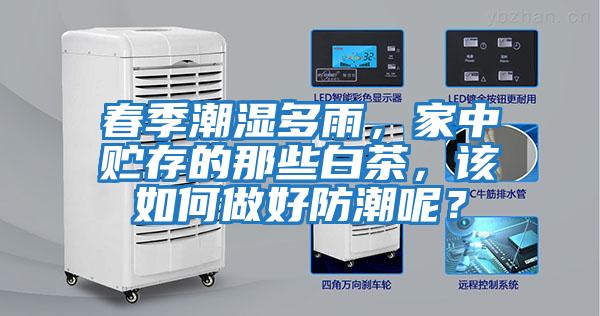 春季潮濕多雨，家中貯存的那些白茶，該如何做好防潮呢？
