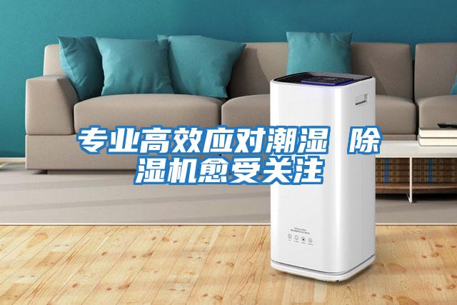 專業(yè)高效應(yīng)對潮濕 除濕機愈受關(guān)注