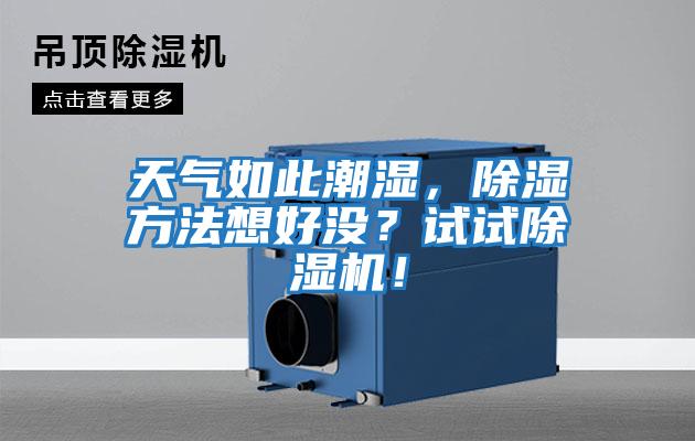 天氣如此潮濕，除濕方法想好沒(méi)？試試除濕機(jī)！